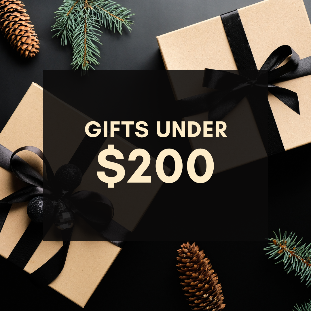 Gift Guide Under $200